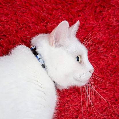 Reflective Cat Collar with Bell, Set of 6, Solid & Safe Collars for Cats, Nylon, Mixed Colors, Pet Collar, Breakaway Cat Collar Charms