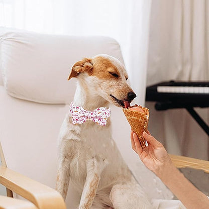 Lionheart glory Dog Collar Shark Print Dogs Bow Collar Adjustable Soft Pink Dog Collars Male or Female Summer Spring Collars with Bowtie for Small Dogs