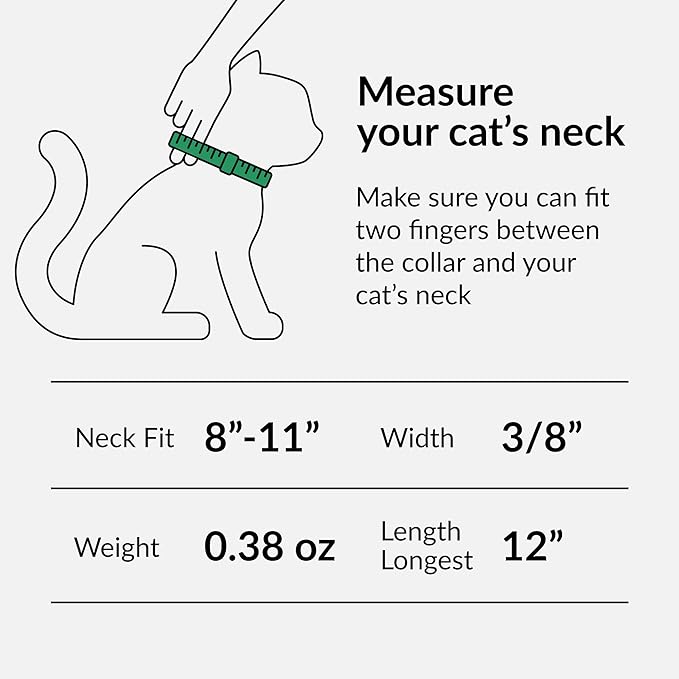 CollarDirect Leather Cat Collar with Removable Bell (Pink, 8-11 Inch)