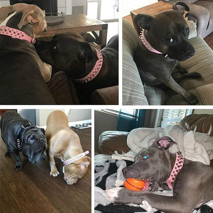 TEEMERRYCA Adjustable Leather Spiked Studded Dog Collars with a Squeak Ball Gift for Small Medium Large Pets Like Cats/Pit Bull/Bulldog/Pugs/Husky, Pink, M(12"-15")