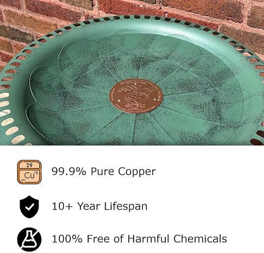 Erva Copper Bird Bath Purification Disk - Made in USA (2-Pack)