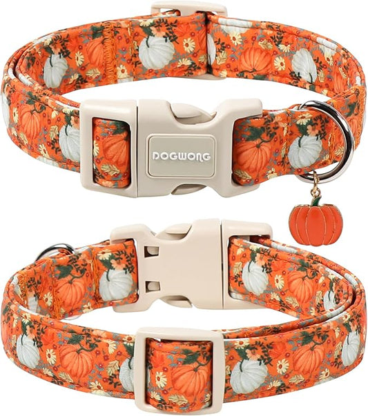 DOGWONG Fall Pumpkin Dog Collar- Cute Daisy Pumpkin Dog Collars Adjustable Orange Halloween Thanksgiving Dog Collar for Small Medium Large Dogs M