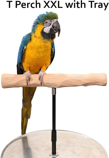 Parrot Training Perch Stand with Potty Tray (T Perch, XXL)