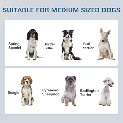 PawHut Pet Feeding Station, Elevated Dog Bowls, Dog Food Storage Cabinet with Hidden Bowls, Adjustable Panel, Hooks for Medium Sized Breed, White
