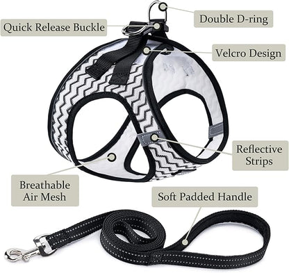BOOMIBOO Dog Harness with Leash Set, No Pull Adjustable Reflective Step-in Puppy Pet Vest Harnesses for Small Medium Large Dogs and Cats,White Stripe XXS