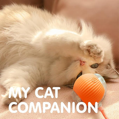 Rocfish Interactive Cat Toy for Indoor Cat, Smart Automatic Cat Chase Ball Toy (Orange-N)