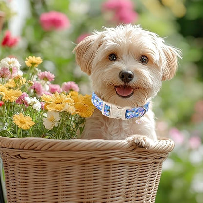 Floral Dog Collar for Small Dogs - Cute Spring Dog Collars, Soft Lightweight Bee & Daisy Puppy Collar, Breathable Adjustable Male Female Blue Wildflowers Dogs Collars XS