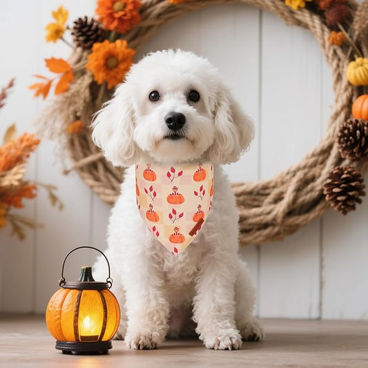 ADOGGYGO Thanksgiving Dog Bandanas 2 Pack, Reversible Turkey Pumpkin Pet Scarf Bib, Adjustable Fit Orange Thanksgiving Bandana for Small Dogs (Small)