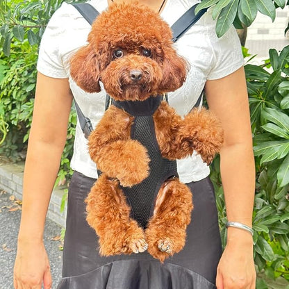 Pet Dog Carrier Backpack, Portable Breathable Mesh Chest Carrier, Polyester Woven Double Shoulder Pet Bag for Outdoor Adventures (Black, X-Large)