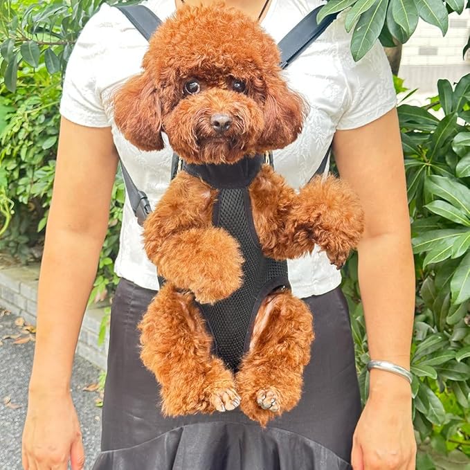 Pet Dog Carrier Backpack, Portable Breathable Mesh Chest Carrier, Polyester Woven Double Shoulder Pet Bag for Outdoor Adventures (Black, Medium)