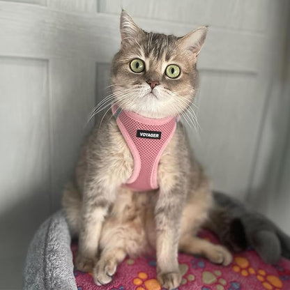 Best Pet Supplies Voyager Step-in Air Harness - All Weather Mesh, Reflective, No Pull Harness for Dogs, Cats - Secure with Hook & Loop Fastener, Buckle, Double D-Rings - Pink, L