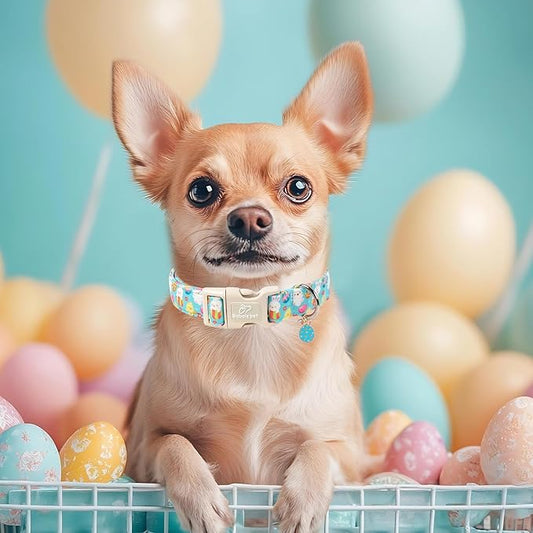 Easter Dog Collar for Puppy Small Dogs - Cute Easter Egg Hunt Dog Collars for Boy Girl Dogs, Playful Bunny & Chick Print, Lightweight Adjustable Spring Holiday Dog Collar XS