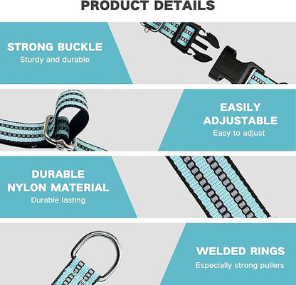 Hikiko Martingale Dog Collars Reflective Nylon Dog Collar with Quick Release Buckle Adjustable Training No Slip Dog Collar (Small, Sky Blue)