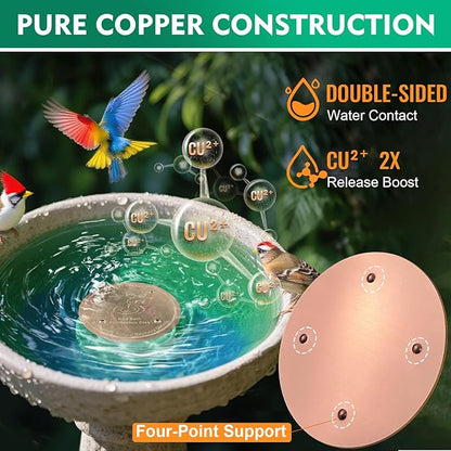 2 Pcs Bird Bath Copper Disk | 99.99% Pure Copper Plate & Birdbath Disk | 0.6mm Thick Reinforced Design | Maintains Clean Water Naturally | Fits All Birdbath Bowls Year-Round (Bird Style 2)