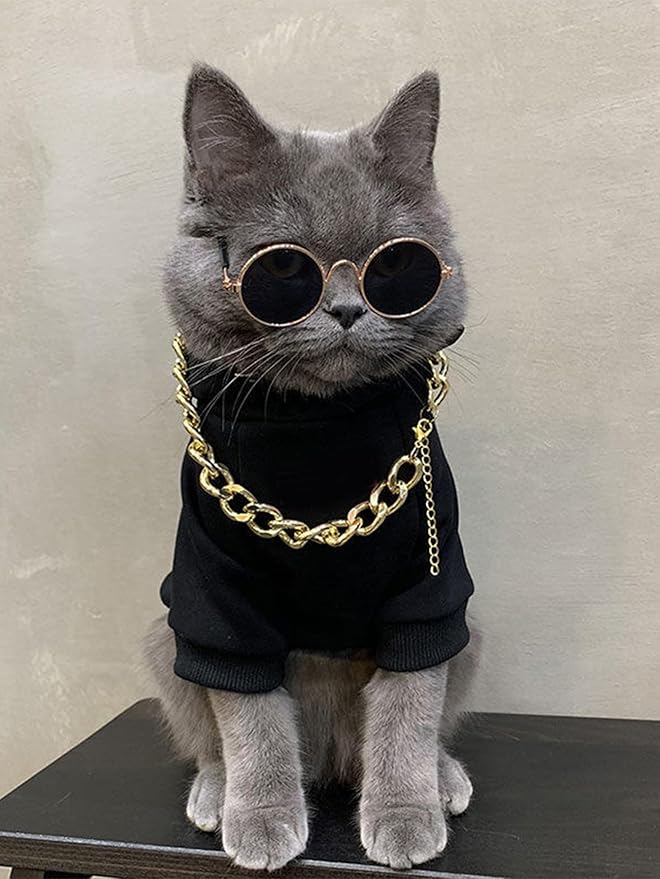 QWINEE 3Pcs Dog Hoodie Cat Apparel Dog Custume Set with Necklace and Sunglasses Pet Clothes for Puppy Small Medium Dogs Cats Multicolor M