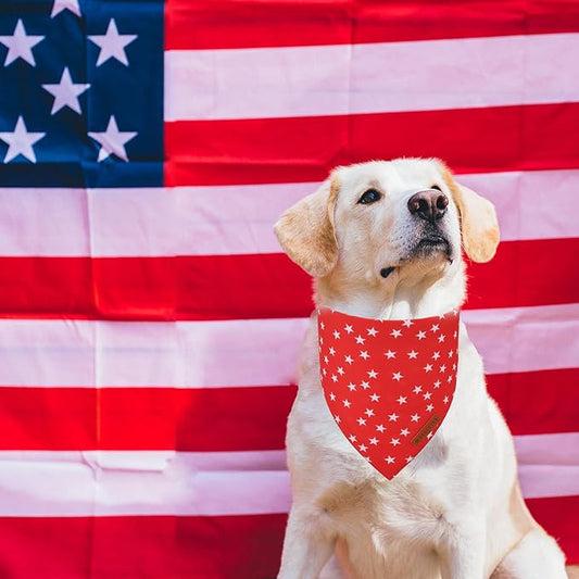 ADOGGYGO Star Dog Bandana 2 Pack, Reversible Red Blue Patriotic Pet Scarf Bib, Adjustable Fit 4th of July Star Bandanas for Extra Large Dogs Pets (X-Large)