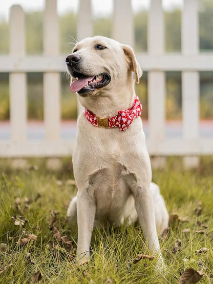 Elegant little tail Dog Collar with Bow, Cotton & Webbing, Bowtie Dog Collar, Adjustable Dog Collars for Small Medium Large Dogs and Cats