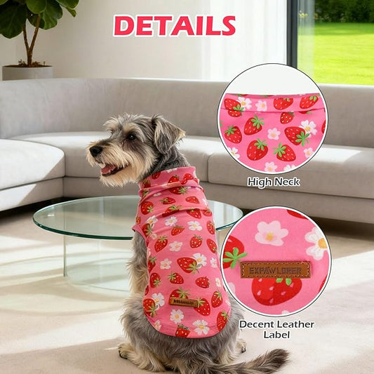 EXPAWLORER Soft Cat Sweater - Sweaters for Cats Only Warm Kitten Clothes, Fall and Winter Pet Coat Pullover Design, Fleece Sweatshirt Clothing Also for Puppy Small Dogs, Strawberry L