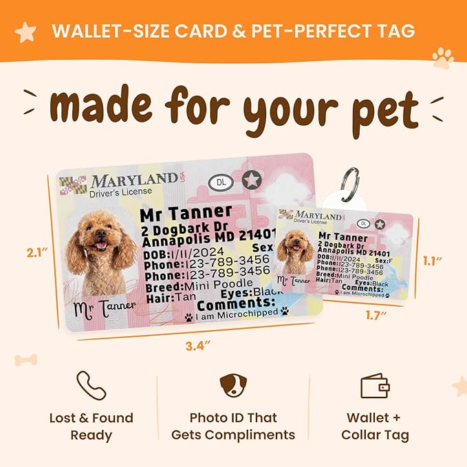 PawFurEver Personalized Dog Driver License ID Tag for Dogs & Cats - Custom Pet License Dog ID Tags Personalized Heavy Duty with Name, Photo & Phone Number, 50 States + DC (Virginia, Tag)