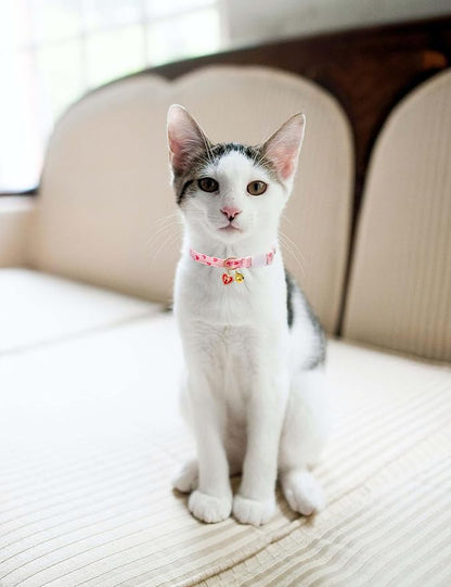 Cat Collar Breakaway with Bells,3 Pack Safety Adjustable Pet Collars,Ideal for Girl Boy Kittens. (Orange Green Pink)