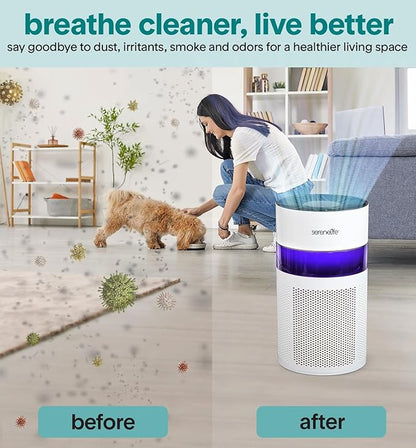 SereneLife Portable Air Purifier - Small Air Purifier with Aroma Box & Ambient Light, High Filtration Efficiency, 2-Speed, Timer & Sleep Mode, Filter Change Reminder, 6 x 6 x 12 in. (White)