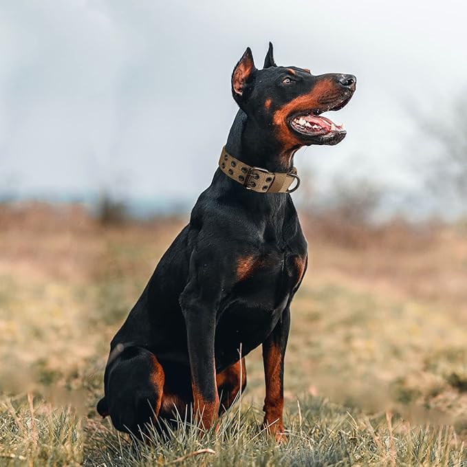 Tactical Dog Collar with Handle, Military Adjustable Heavy Duty Metal Buckle Dog Collars Soft Nylon Training Collar for Medium Large Dogs (Brown, X-Large)