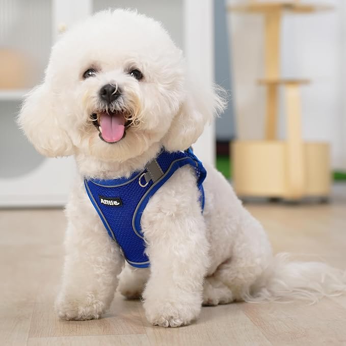 AIITLE Easy Walk Dog Harness and Leash Set - Pet Supply No Pull, Step in Adjustable Dog Harness with Padded Vest, Dog Harness No Choke Over, Easy to Put on Medium Dogs Royal Blue L