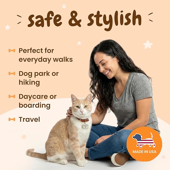 PawFurEver Personalized Dog Driver License ID Tag for Dogs & Cats - Custom Pet License Dog ID Tags Personalized Heavy Duty with Name, Photo & Phone Number, 50 States + DC (California, Tag)