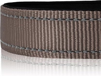 Joytale Reflective Dog Collar, Soft Neoprene Padded, Metal D-Ring, Nylon Pet Collar Adjustable for Extra Large Dogs, Brown, XLarge