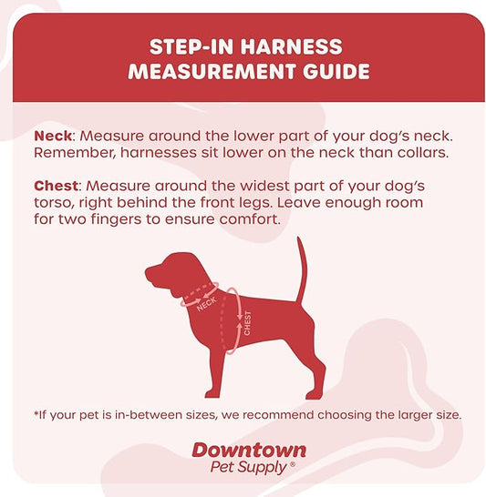 Downtown Pet Supply Step-in Dog Harness – No Pull, Adjustable Padded Mesh with Reflective Trim, Secure Buckle Strap – Comfortable & Breathable Small Dog Harness, XX-Small, Dinosaur