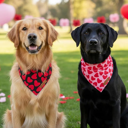 ADOGGYGO Valentine Dog Bandana 2 Pack, Reversible Red Pink Heart Pet Scarf Bib, Adjustable Fit Valentine Bandanas for Extra Large Dogs (X-Large)
