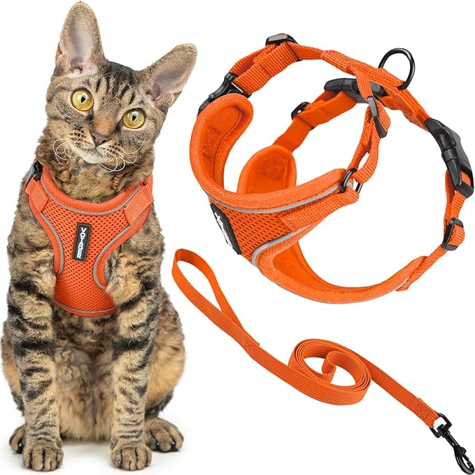 Voyager Escape-Proof Step-in Lock Cat Harness & 5ft Neoprene-Handle Leash Set All-Weather Mesh with Reflective Stitching for Small to Large Cats by Best Pet Supplies, Orange (327), XXS