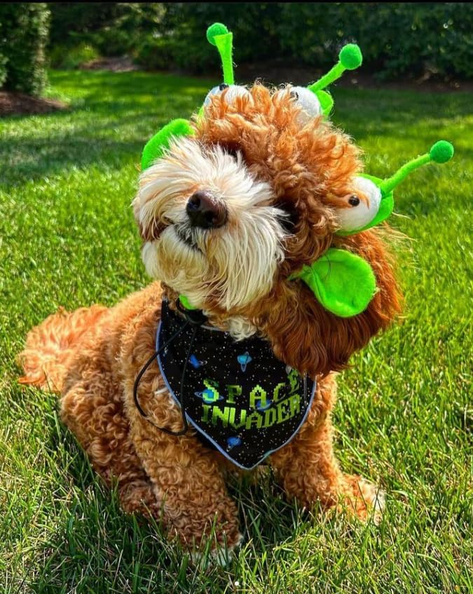 Midlee Alien Dog Headband Costume - Image 4