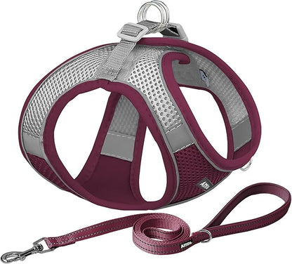 AIITLE Comfortable Dog Harness and Leash Set for Walking - Christmas Step in Vest Harness,Reflective Bands, Adjustable No Pull Puppy Essentials, for Small Dogs and House Cats Burgundy XS