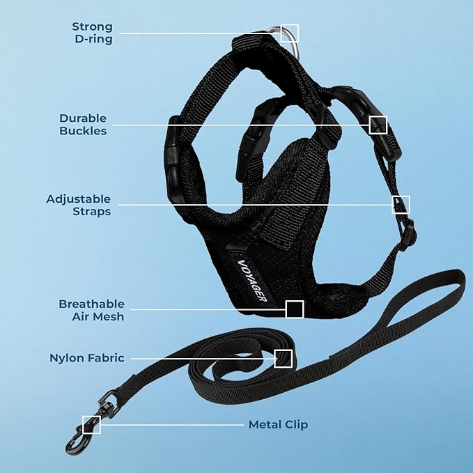 Voyager Escape-Proof Step-in Lock Cat Harness & 5ft Neoprene-Handle Leash Set All-Weather Mesh with Reflective Stitching for Small to Large Cats by Best Pet Supplies, Black, S