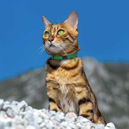 Breakaway Cat Collar Leather with Removable Bell - 13 Colors Available - Soft Adjustable Girl Boy Safety Lightweight Pet Kitten Collars Pink Brown Blue Green Red Orange Black (Mustard)