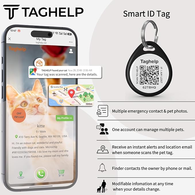 The Multi-Cat Household Kit: 5 Universal QR ID Tags. A Complete Set for All Your Cats. Scan for Instant Call & Vet Info - No Subscription Ever (5 Colours, for cat - 1")