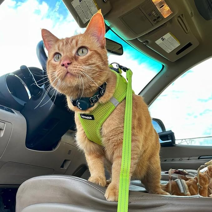 Best Pet Supplies Voyager Step-in Air Harness - All Weather Mesh, Reflective, No Pull Harness for Dogs, Cats - Secure with Hook & Loop Fastener, Buckle, Double D-Rings - Lime Green, XL