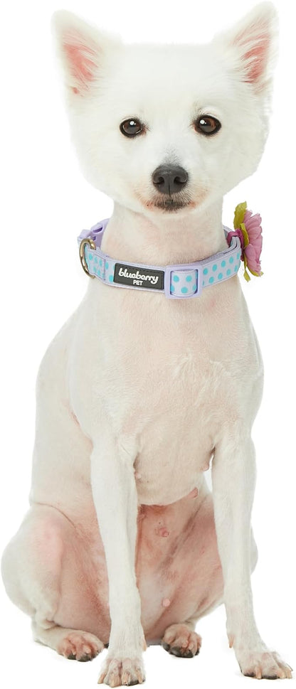 Blueberry Pet Adjustable Flocking Dog Collar with Artificial Silk Flower - Polka Dot in Pastel Purple, Large, Neck 18"-26"