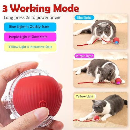 Automatic Interactive Rolling Cats Dog Toys Ball for Indoor- Rechargeable Activate Cat Dog Pet Toy for Indoor, Self-Playing Automatic Moving Kitten Toys for Cats, Durable and Safe Material (Red)