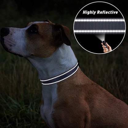 TagME Reflective Nylon Dog Collars, Adjustable Classic Pet Collar with Quick Release Buckle for Extra Small Dogs, Grey, 5/8" Width
