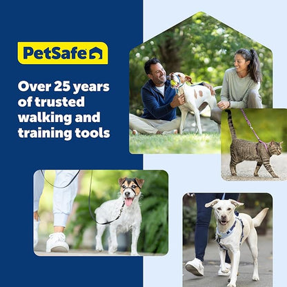 PetSafe Gentle Leader Headcollar No-Pull Dog Collar - Helps Improve Walks - Durable Nylon Construction - Padded Nose Loop - Adjustable Fit - Comfort Walking Halter - Medium, Raspberry Pink