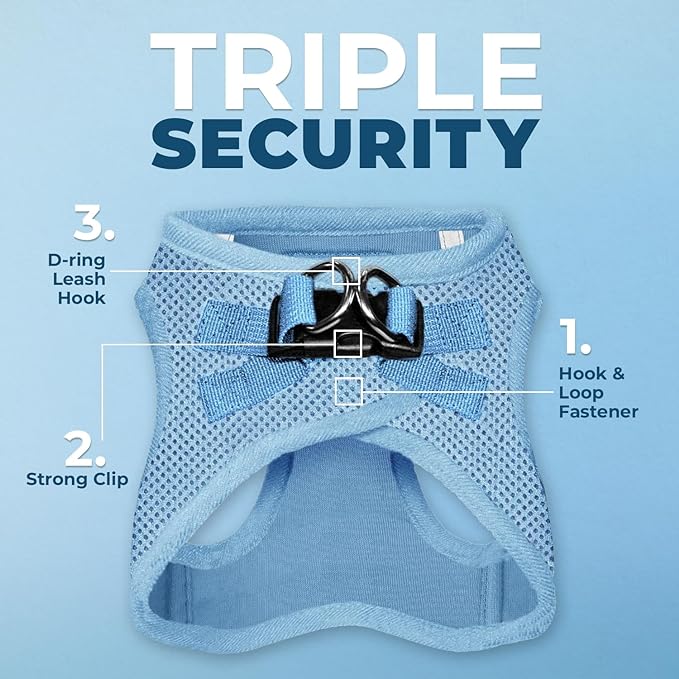 Best Pet Supplies Voyager Step-in Air Harness - All Weather Mesh, Reflective, No Pull Harness for Dogs, Cats - Secure with Hook & Loop Fastener, Buckle, Double D-Rings - Baby Blue, M