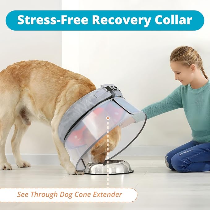 Inflatable Dog Cone with Transparent Shield, Protective Dog Donut Collar After Surgery to Stop Licking, Soft Donut Cone for Medium Plus Pets, Adjustable Recovery Collar with Buckle Visibility