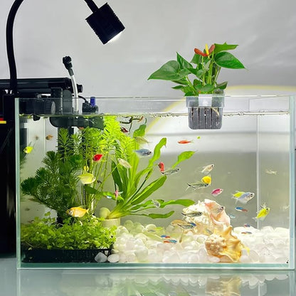 2PCS Aquarium Plant Holder with Hooks Top Clear Acrylic Fish Tank Plant Holder Cup Pots for Fish Tank Aquaponic Plant and Aquascape Decorations