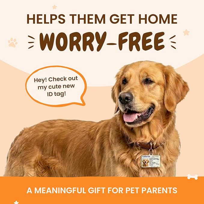 PawFurEver Personalized Dog Driver License ID Tag for Dogs & Cats - Custom Pet License Dog ID Tags Personalized Heavy Duty with Name, Photo & Phone Number, 50 States + DC (Colorado, Tag)