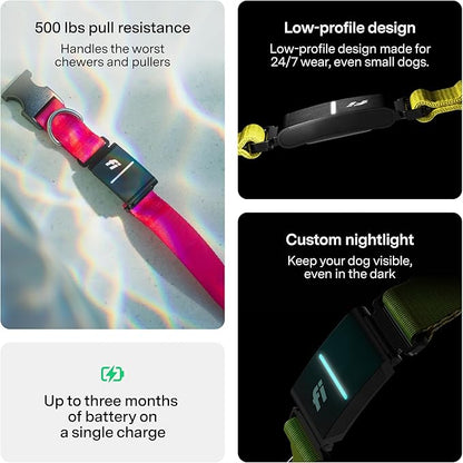 New Fi Series 3+ Smart Dog Tracker Collar [6 Month Membership Included] GPS Tracker for Dogs with Health & Behavior Monitoring, Escape Alerts, Waterproof, LED, Apple Watch Compatible (Gray, X-Small)