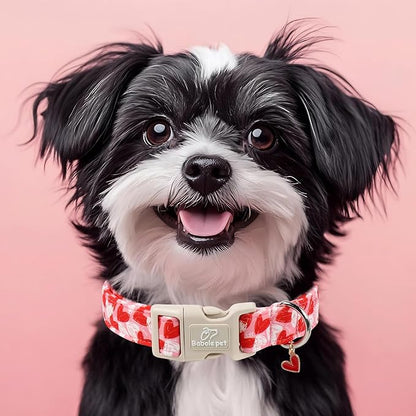 Valentines Dog Collar for Small Dogs - Cute Pink Girl Dog Collar, Doodle Heart Pattern, Adjustable Valentine Dog Collars with Red Heart Charm S