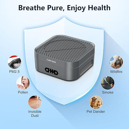 Air Purifiers for Home 600 Sq.Ft, TDBYWAE H13 True HEPA Air Purifier with USB Cable for Pets Dust Dander Pollen Odor Smoke, Small Portable Air Purifier for Bedroom Office Desktop Car RV (Grey)