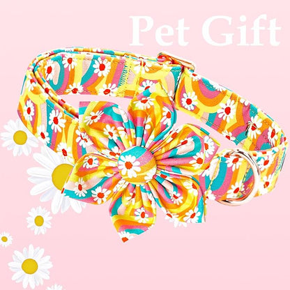 Lionheart glory Dog Collar with Flower, Sunflower Pattern Pet Collar Durable Cute Dog Flower Collars Summer Spring Female Pet Gift Adjustable Dog Collar for Small Dogs